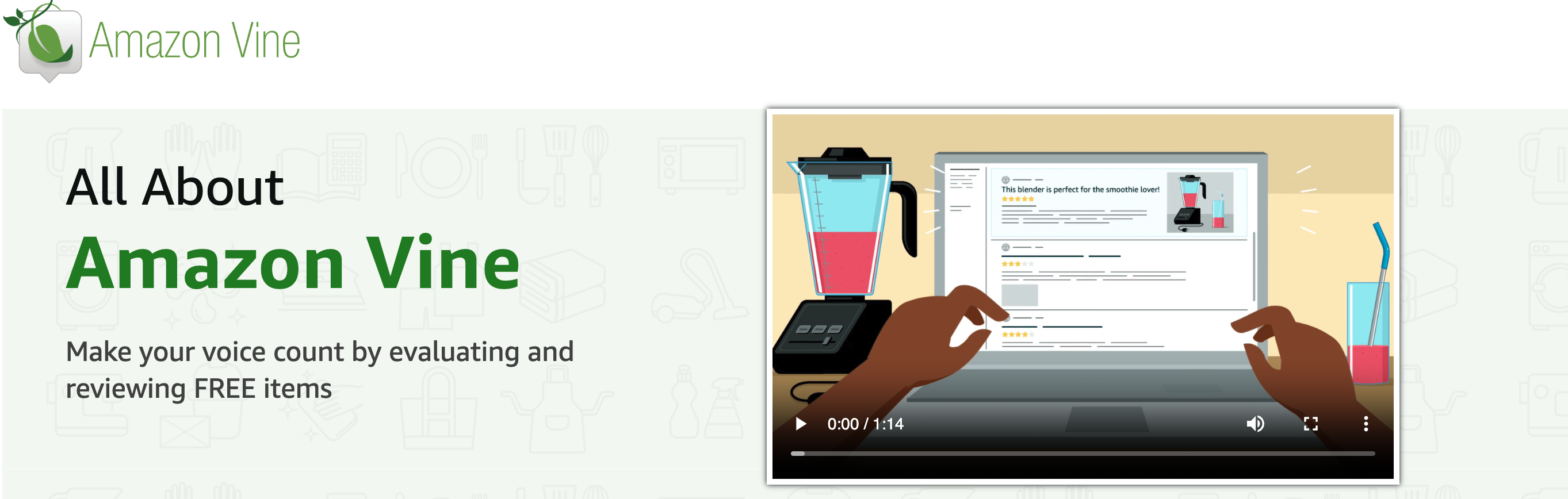 Amazon Vine Program